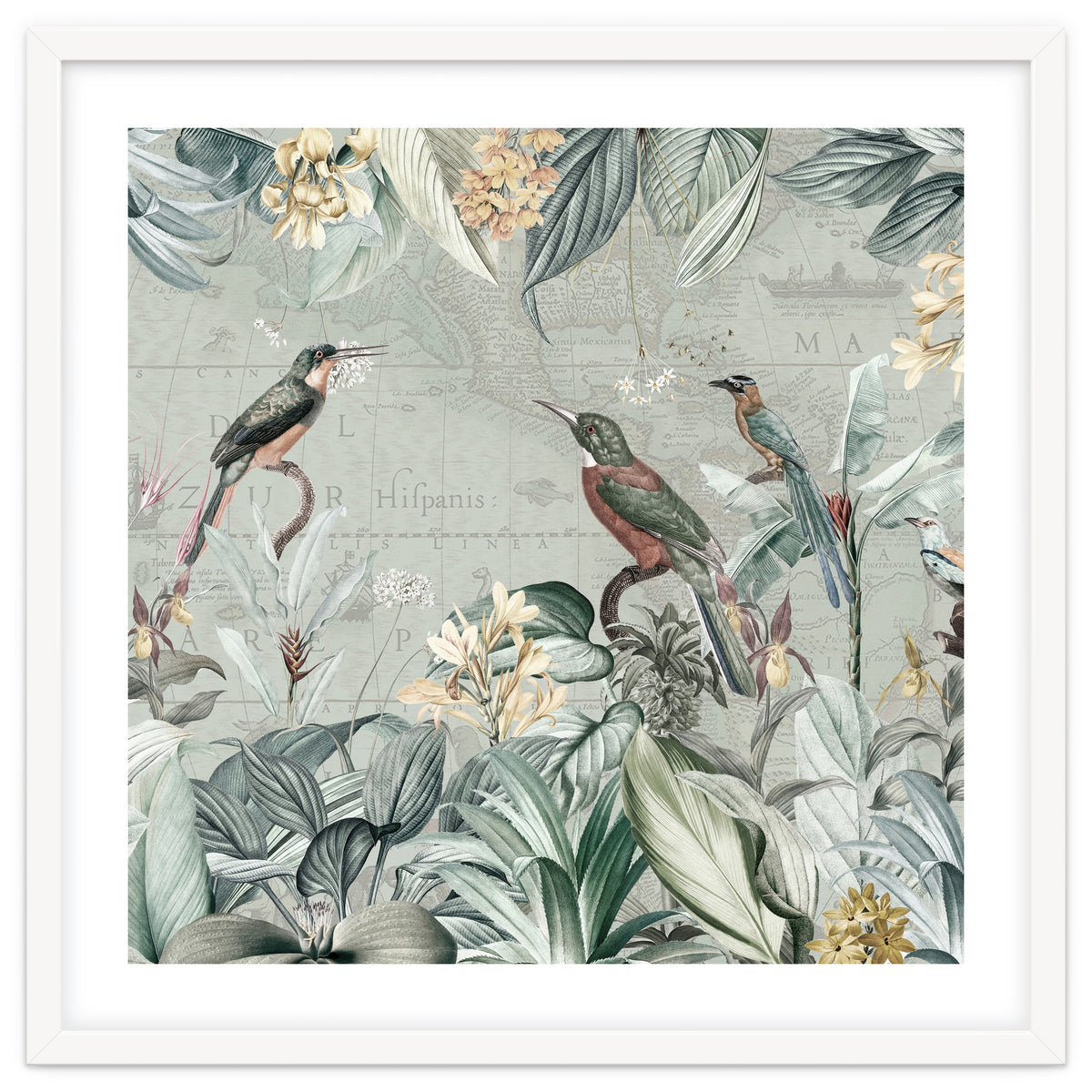 Vintage Exotic Birds Paradise Jungle