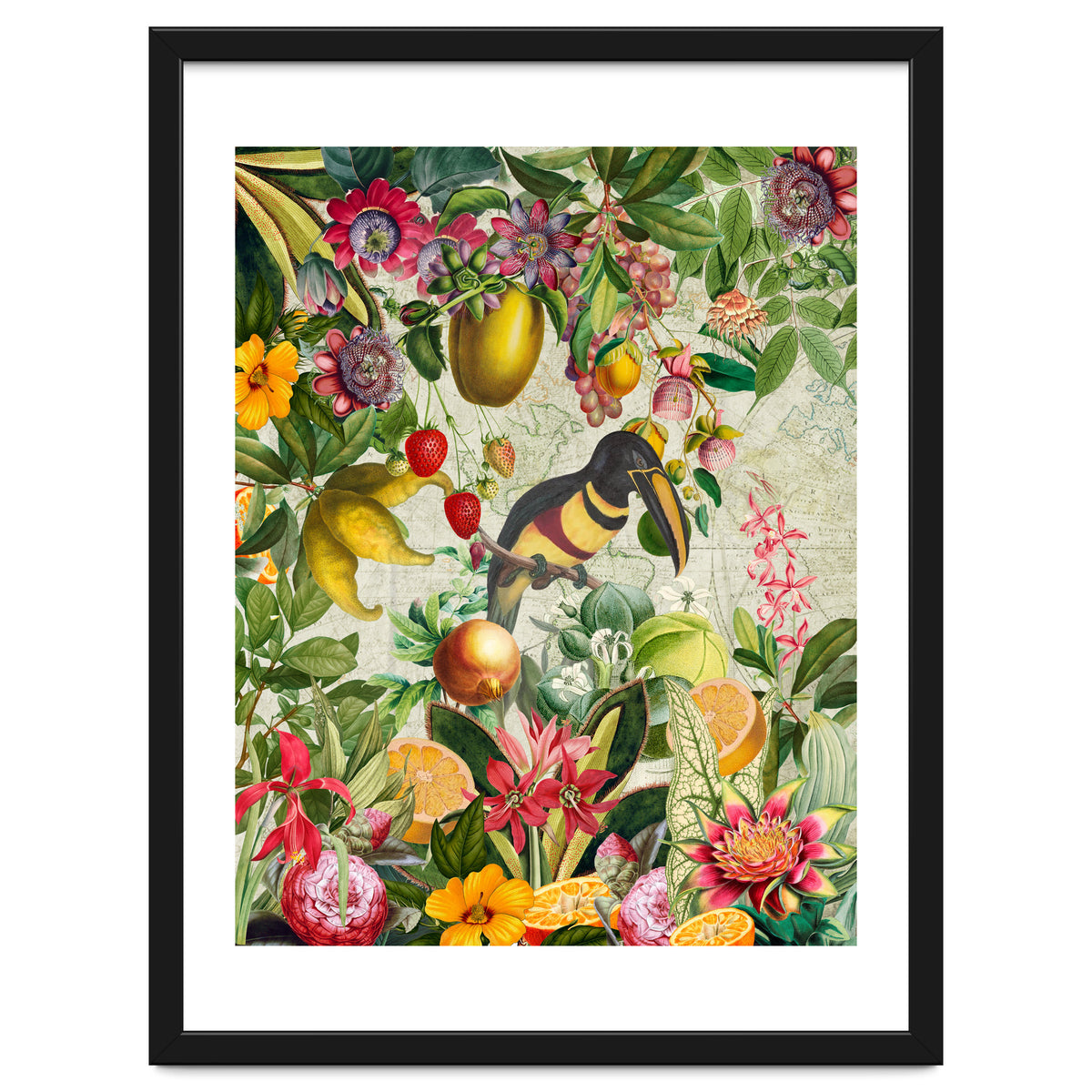 Toucan vintage jungle