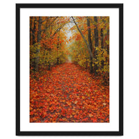 Lush Autumn Forest Path Covered