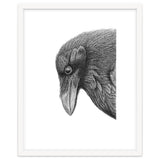 Huginn thumbnail