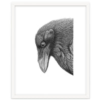 Huginn