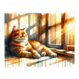 Cat Relaxing In Sunlight (Print Only) thumbnail