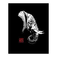 Elephant In Black (Print Only)