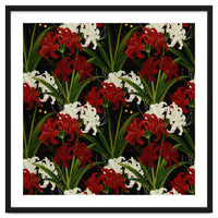 Red and White Spider Lily Flower Print Elegant Botanical Japanese Inspired Floral Artwork