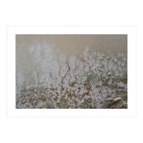 Lifted (Print Only) thumbnail