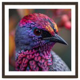 Vibrant Exotic Bird Detailed Feather Close Up thumbnail