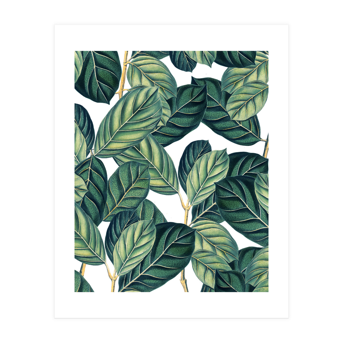 Botany #society6 #decor #buyart (Print Only)