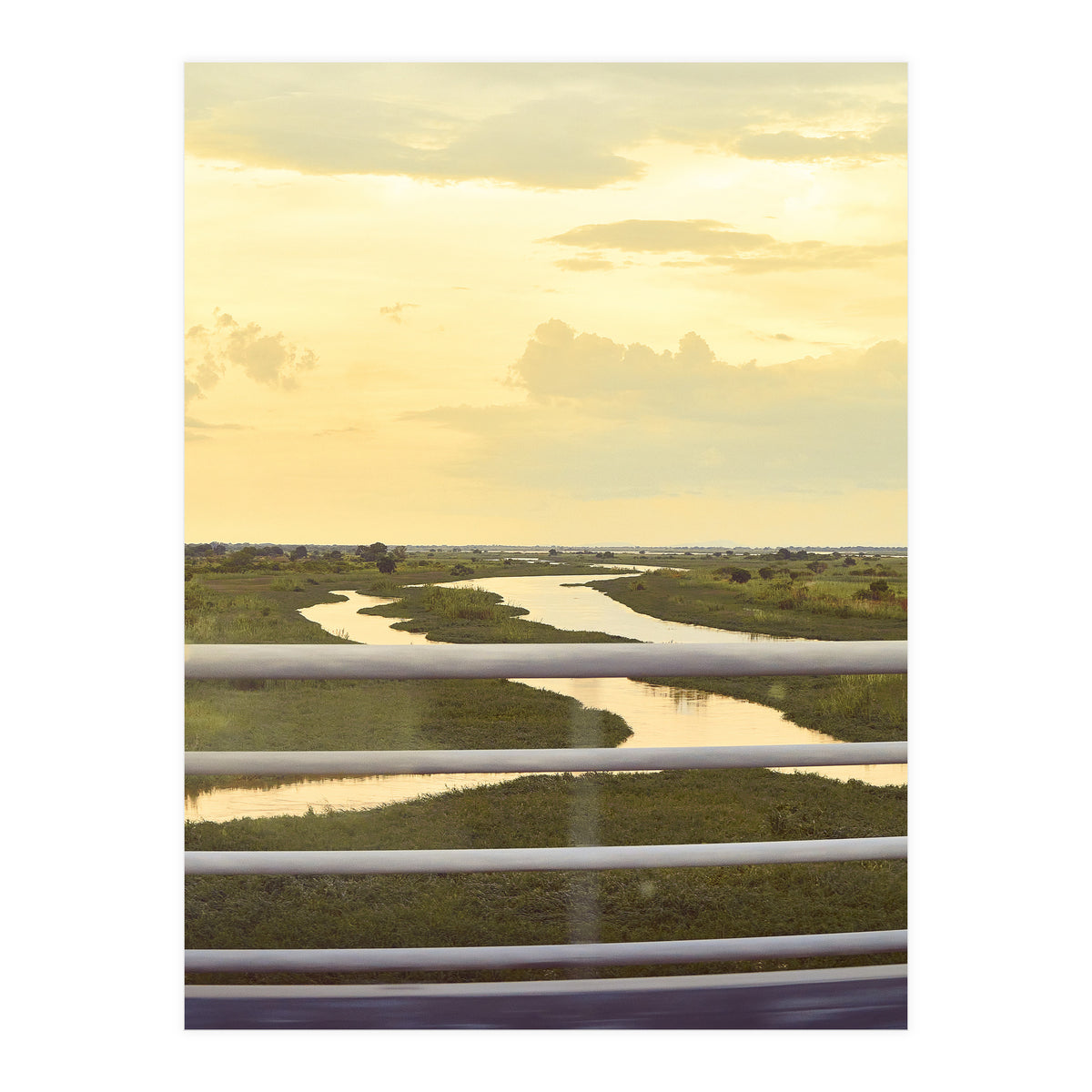 DESTINED (Print Only)