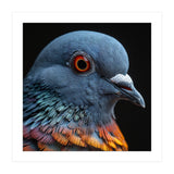 Close Up Of A Pigeon Bird (Print Only) thumbnail