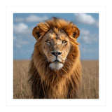 Majestic Lion In African Savanna Under Blue Sky (Print Only) thumbnail