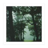 Silence of breath - 13 (Print Only) thumbnail