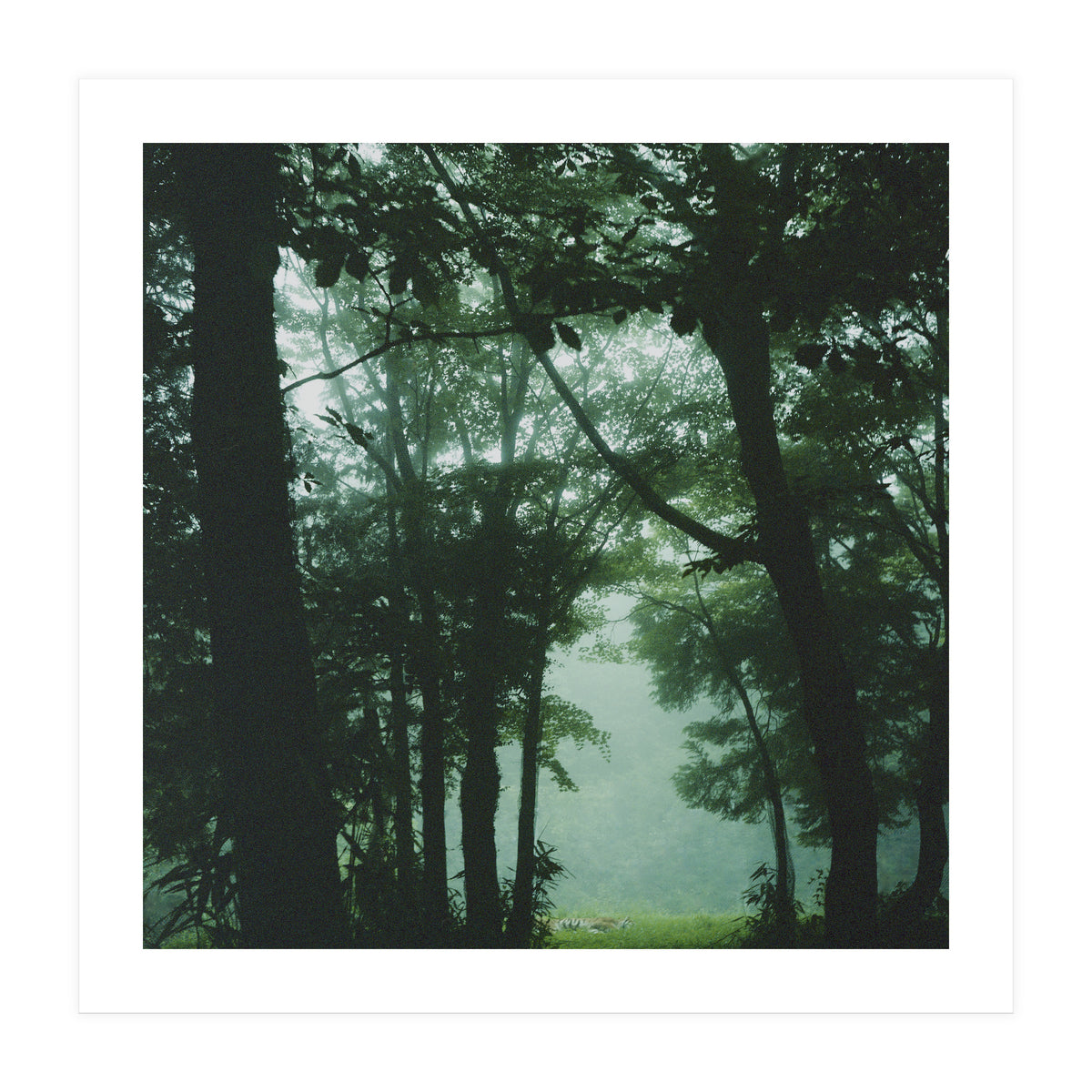 Silence of breath - 13 (Print Only)