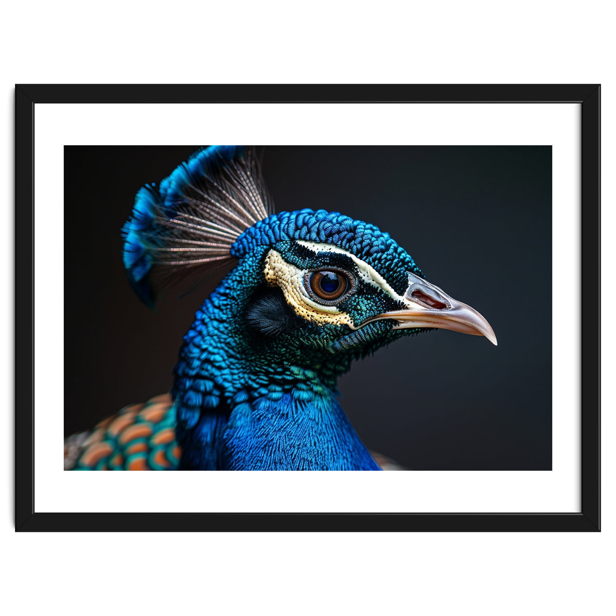 Close Up Peacock Head Blue Green Feather