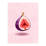 Fresh Figs, Watercolor Fruit, Mediterranean Still Life (Print Only) thumbnail