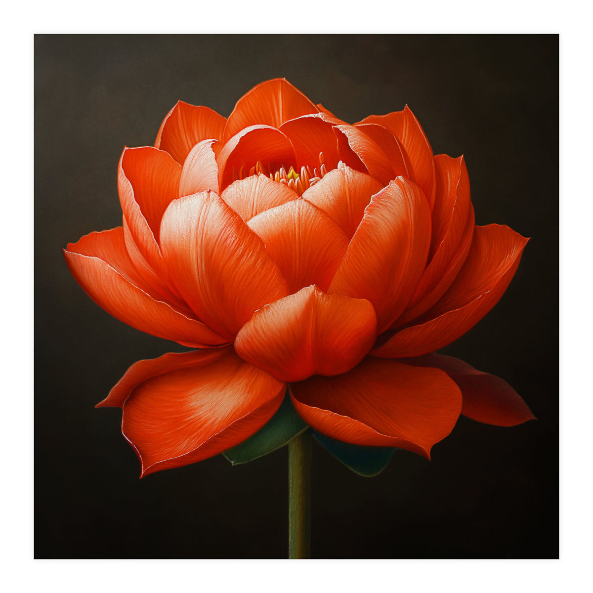 Double Lotus | Scarlet Solace (Print Only)