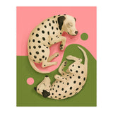 Yin And Yang Dalmatians (Print Only) thumbnail