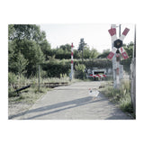 A chicken crossing a railroad (Print Only) thumbnail