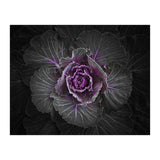 Backyard Flowers No 108 Color Version (Print Only) thumbnail