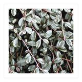 Rain #society6 #decor #buyart (Print Only) thumbnail