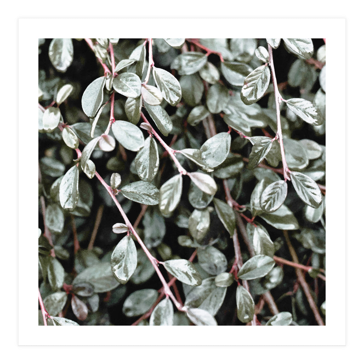 Rain #society6 #decor #buyart (Print Only)