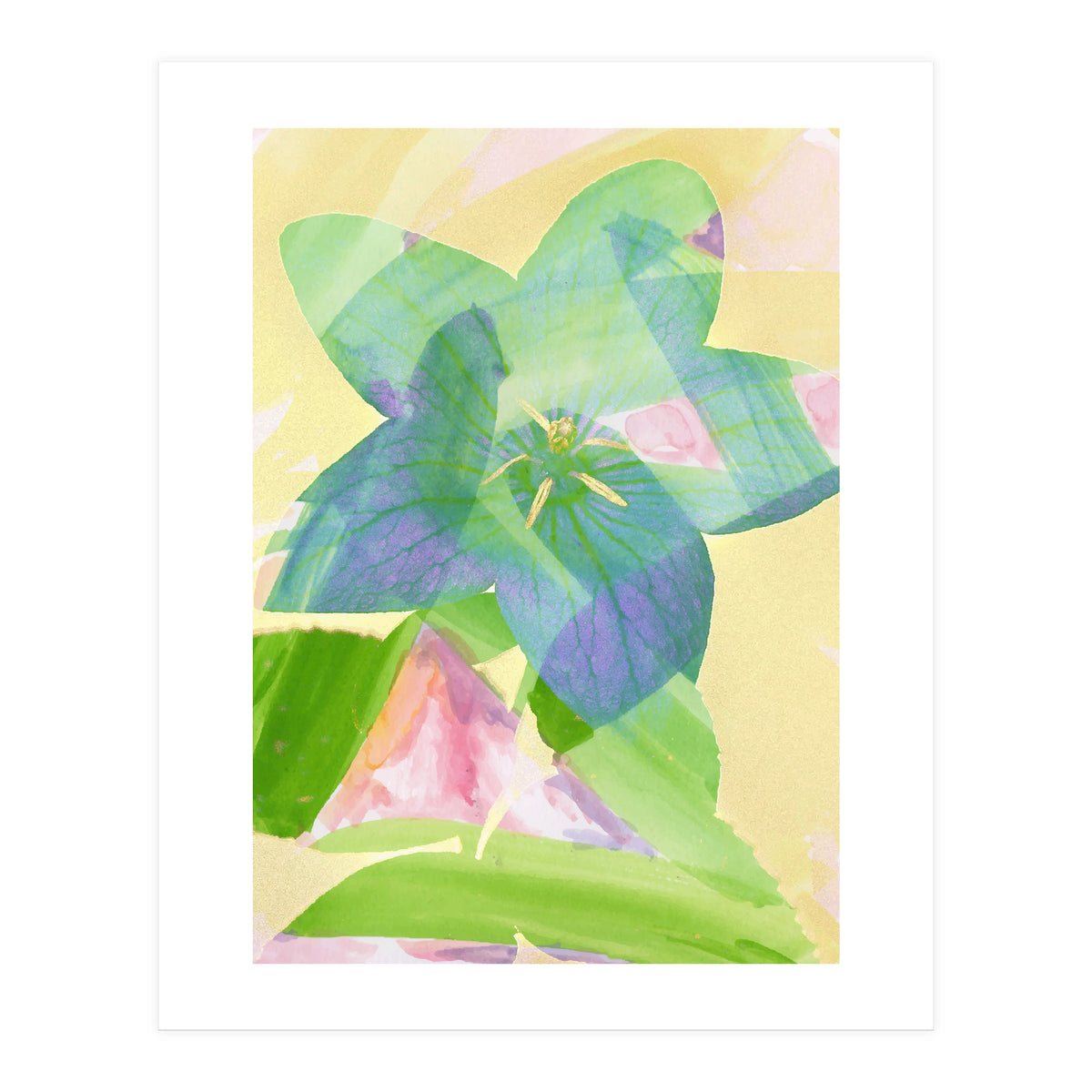 A Peaceful World (Print Only)