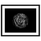Backyard Flowers In Black And White No 72 with Border thumbnail