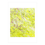 Lemon & Pink Marble (Print Only) thumbnail