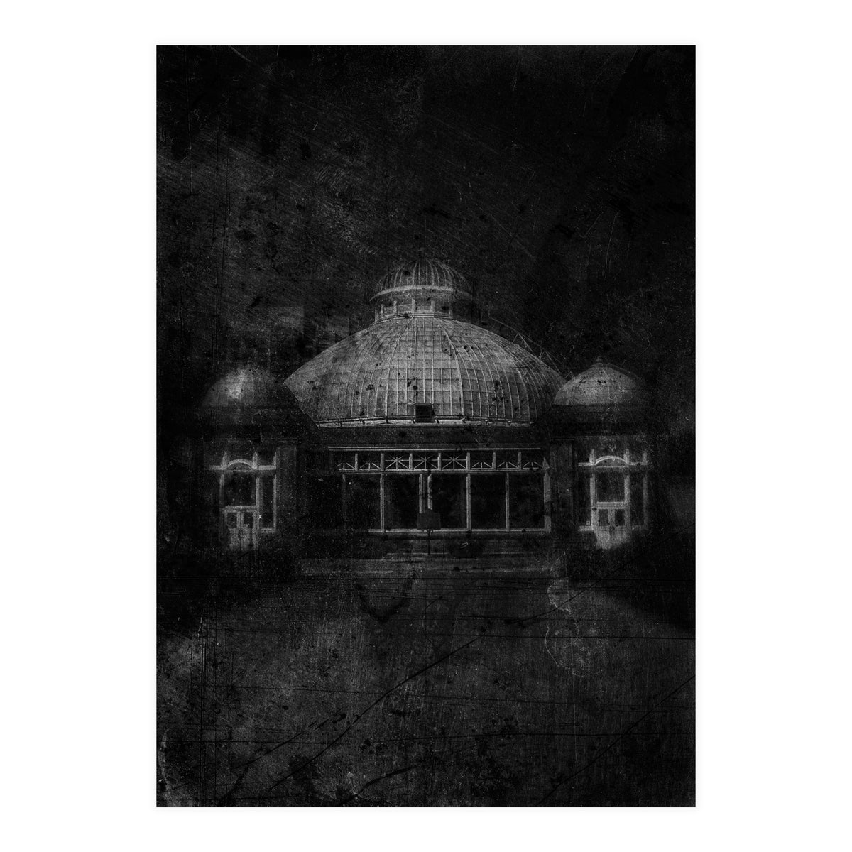 Allan Gardens Conservatory Palm House No 3 Old Film Version (Print Only)