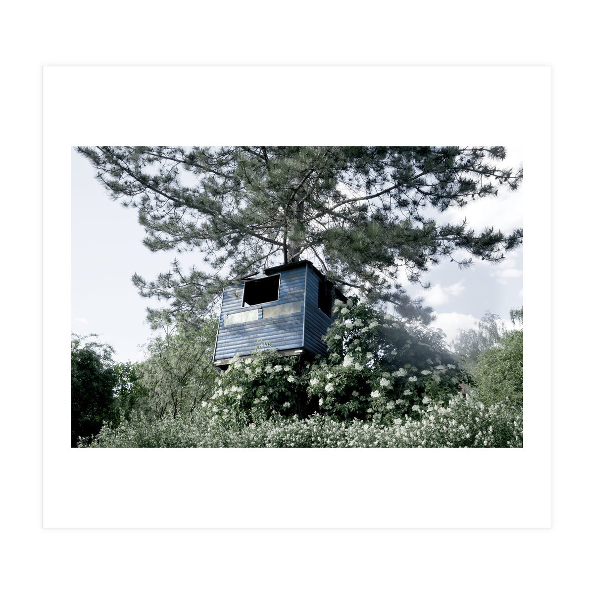 Blue hut on the tree (Print Only)