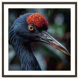 Black Crane Bird Head With Red Crown And Raindrops thumbnail
