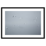 Flying seagulls in the winter sky thumbnail