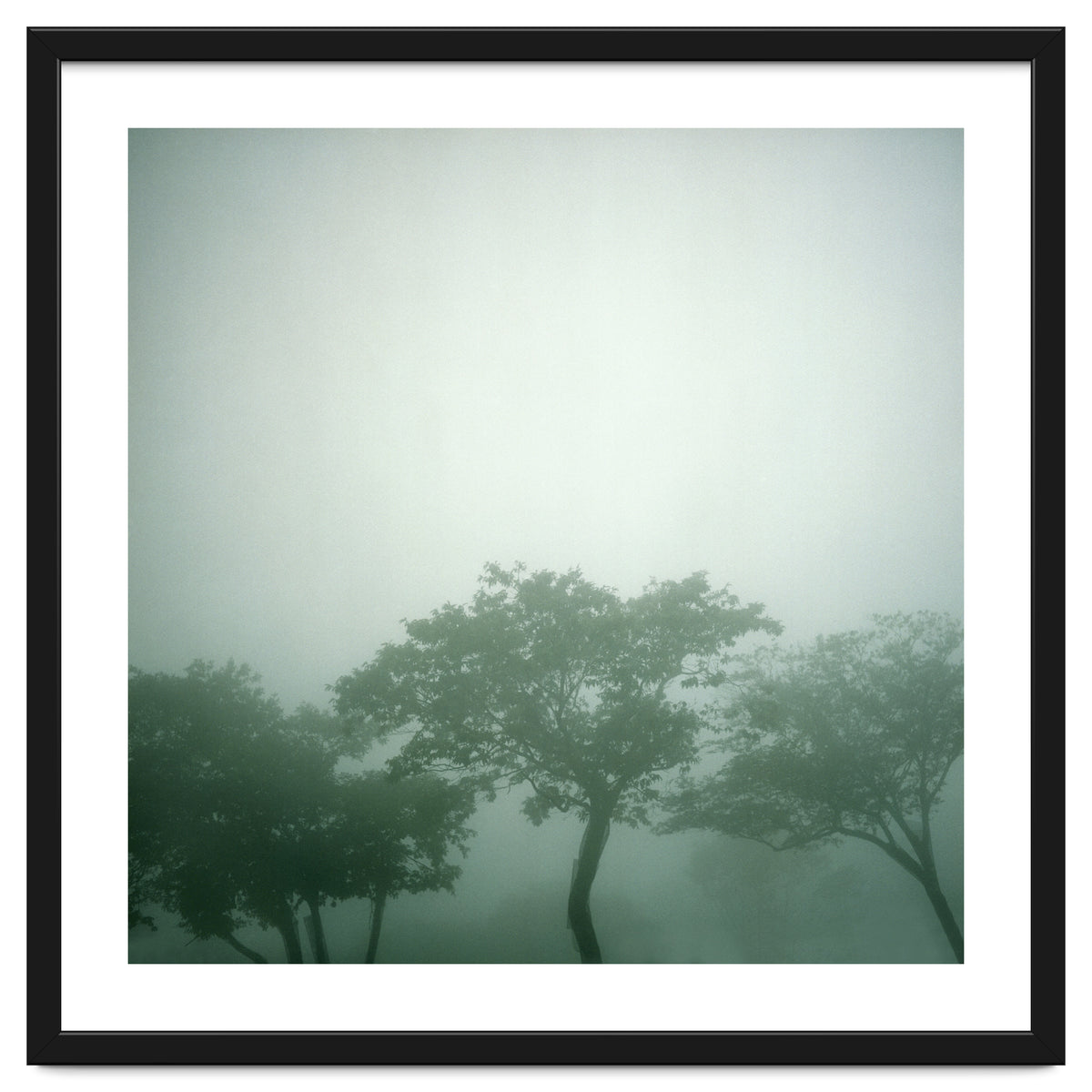 Silence of breath - 17