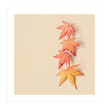 Maple In Pastel (Print Only) thumbnail