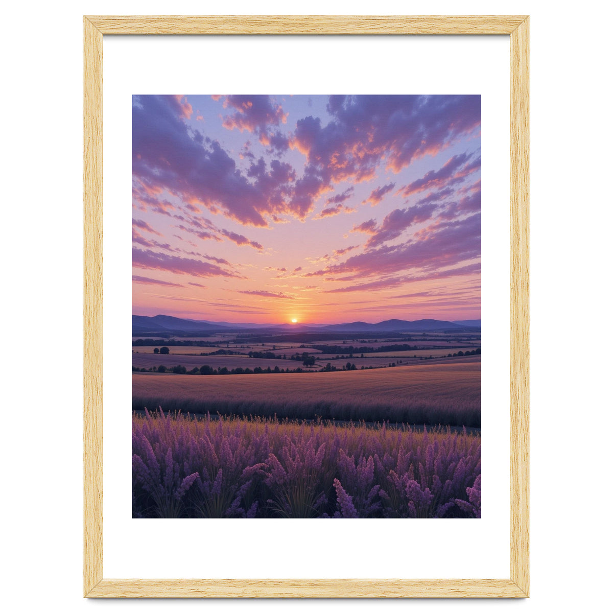 Serene Lavender Fields at Golden Hour Sunset