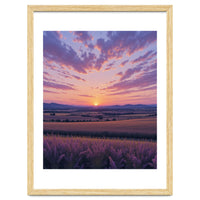 Serene Lavender Fields at Golden Hour Sunset