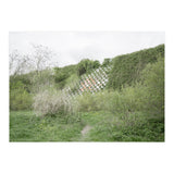 Green grass wall (Print Only) thumbnail
