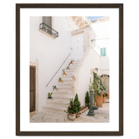 Stairs with cacti