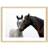 Two Horses thumbnail