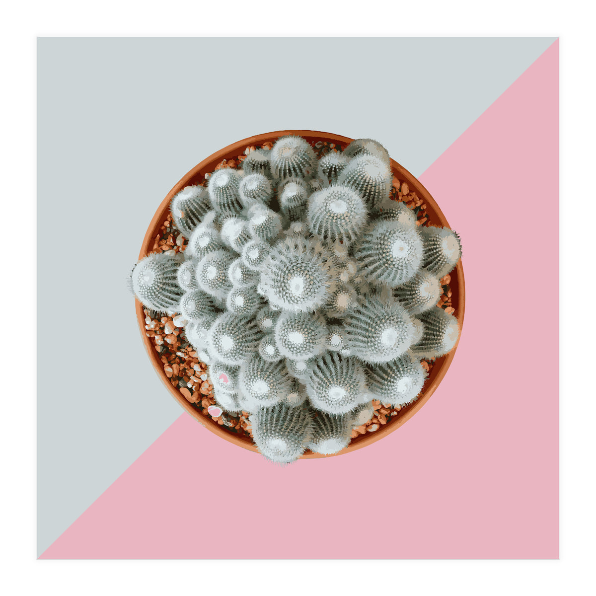 Clementine (Print Only)