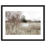 Abandoned Sofa in the middle of nowhere thumbnail