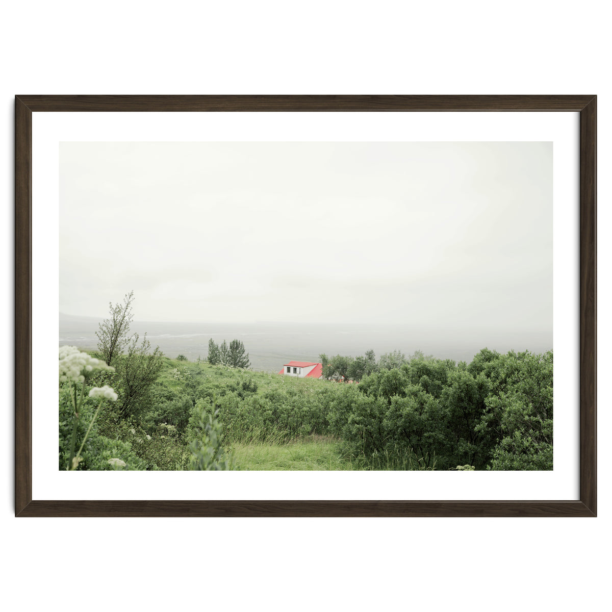 Red Roof house in between the summer green field - Iceland