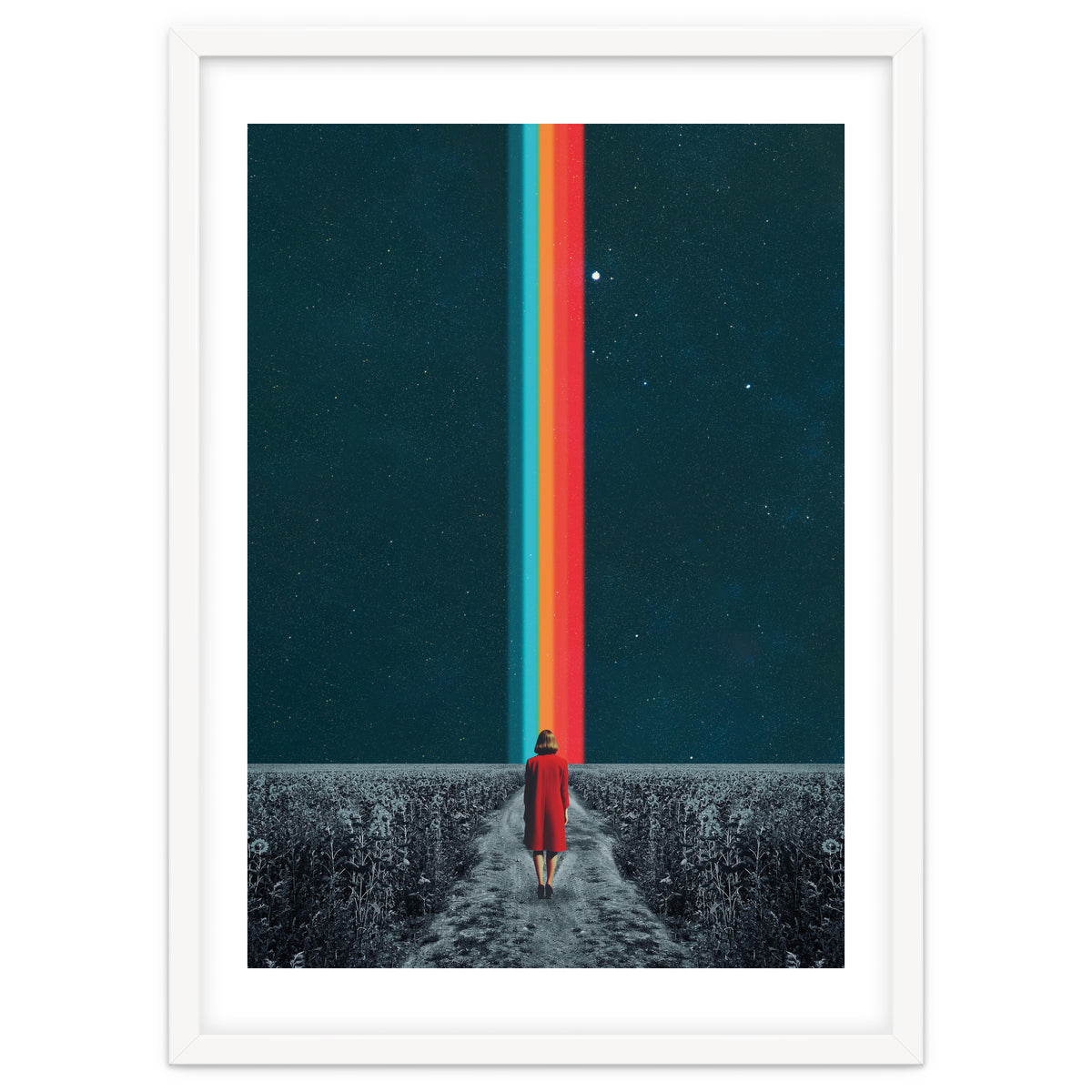 Follow Your Own Path