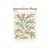 Australian Flora: Wax Flower (Print Only) thumbnail