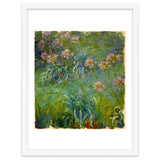 Claude Monet (1840-1926). Agapanthus. thumbnail