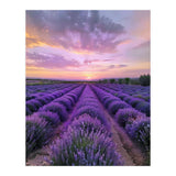 Infinite Horizons (Print Only) thumbnail