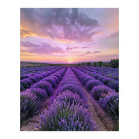 Infinite Horizons (Print Only)
