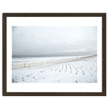 Winter grass in snow beach thumbnail