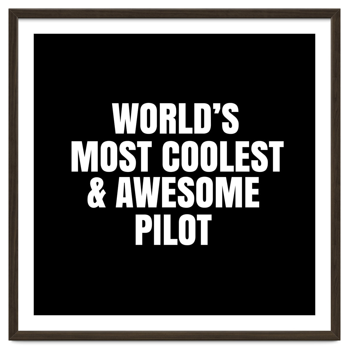 World's most coolest and awesome pilot