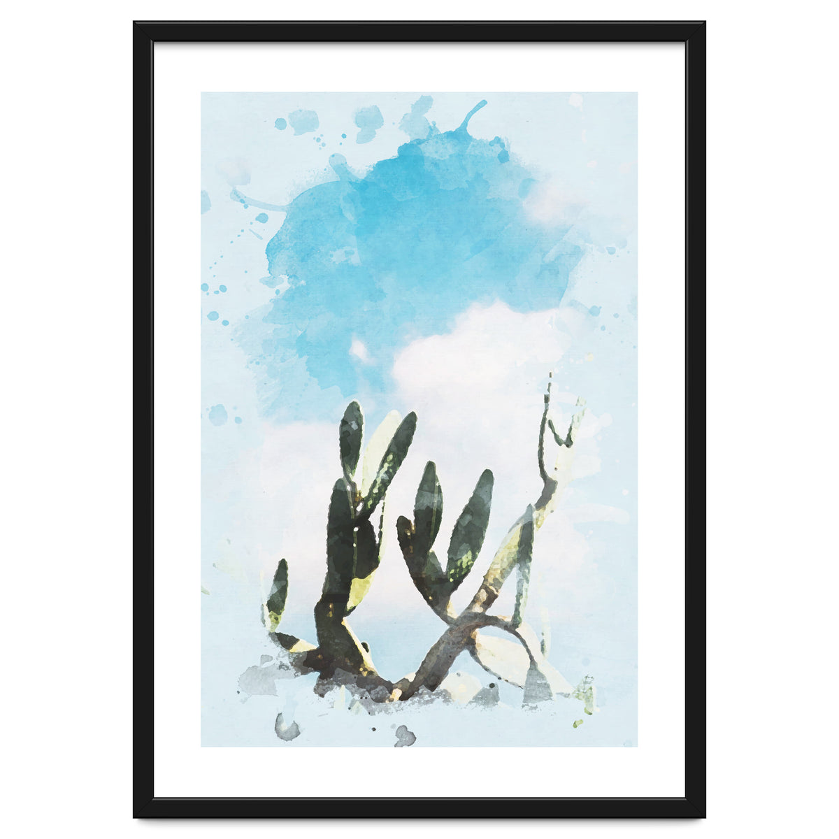 Cactus & Sky