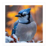 Blue Jay Bird In Winter Snowfall And Leaves (Print Only) thumbnail